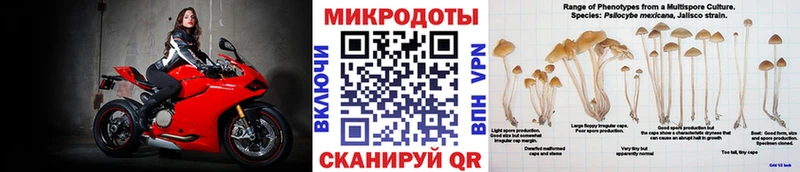 Галлюциногенные грибы мицелий ссылка на мегу сайт Яранск